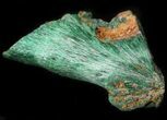 Silky, Fibrous Malachite Crystals - Morocco #42017-1